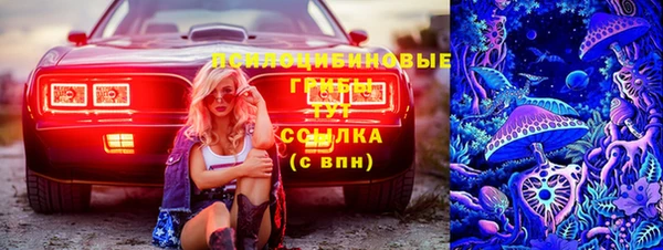 прущие крисы Балахна