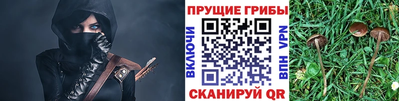 Псилоцибиновые грибы ЛСД Ладушкин