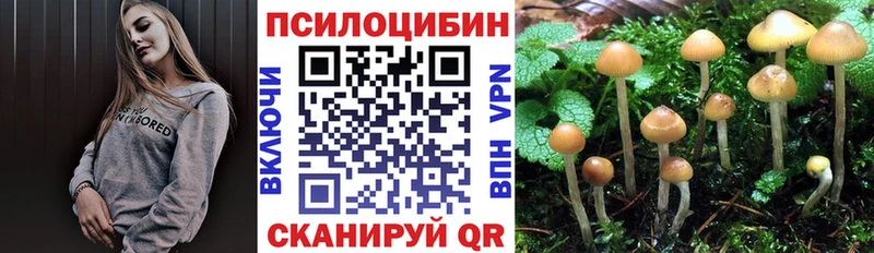 Галлюциногенные грибы прущие грибы  Ладушкин 